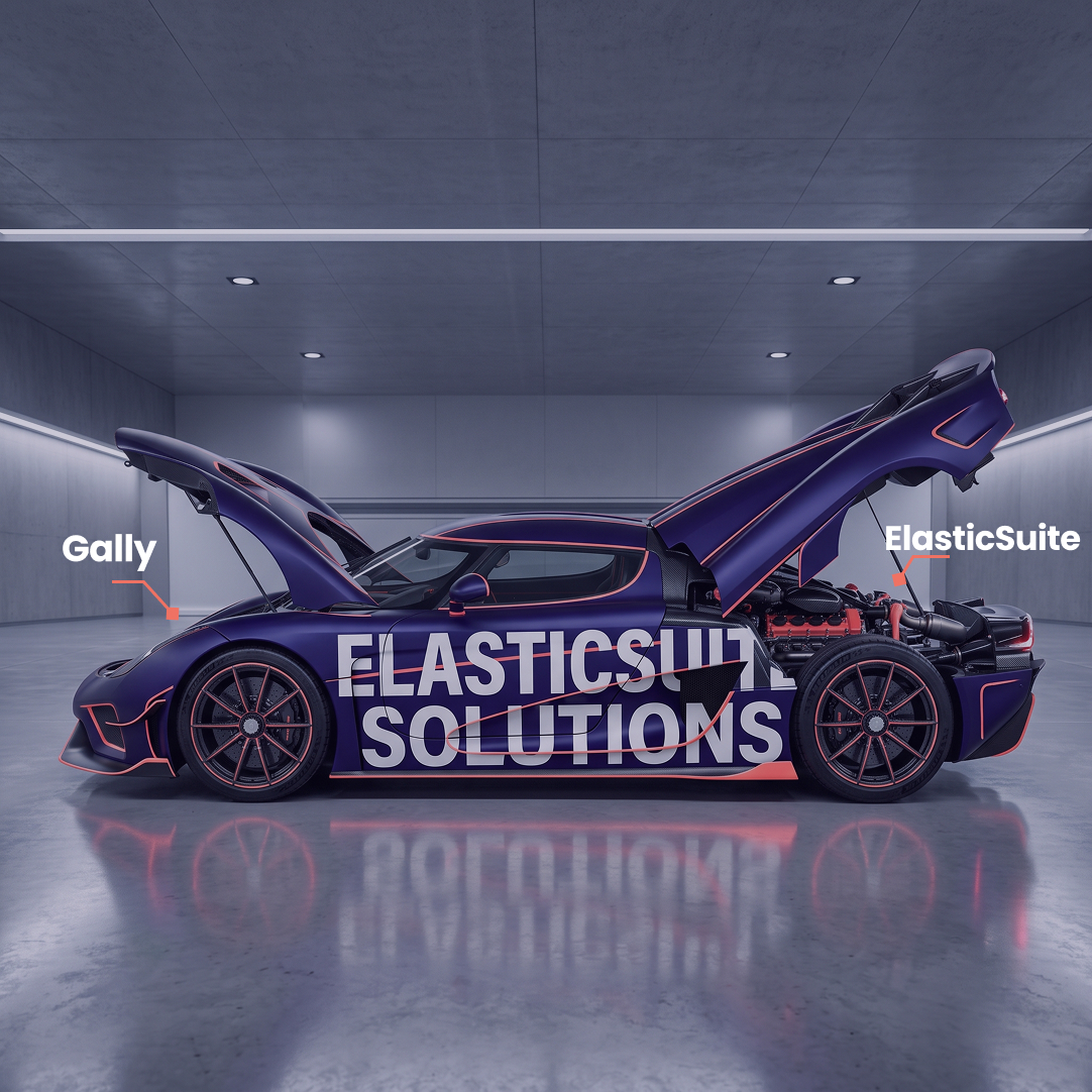 ElasticSuite Solutions open source site search, powered by the ElasticSuite and Gally engines